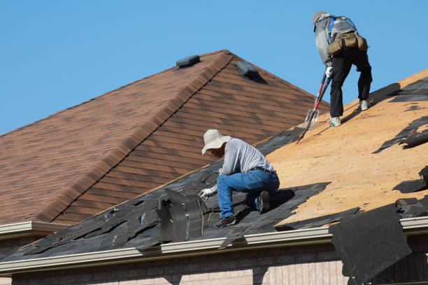 Best Cold Roofs  in Brown City, MI