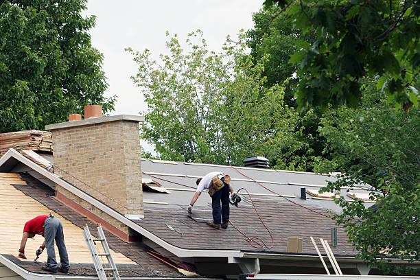 Best Roof Installation  in Brown City, MI