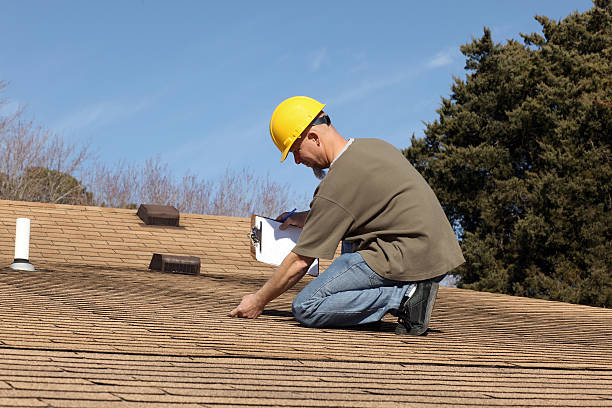 Best Metal Roofing Installation  in Brown City, MI